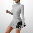 Lavinque Dress Gris / S Robe Pull Col Roulé | Noire | Ajustée et Élégante