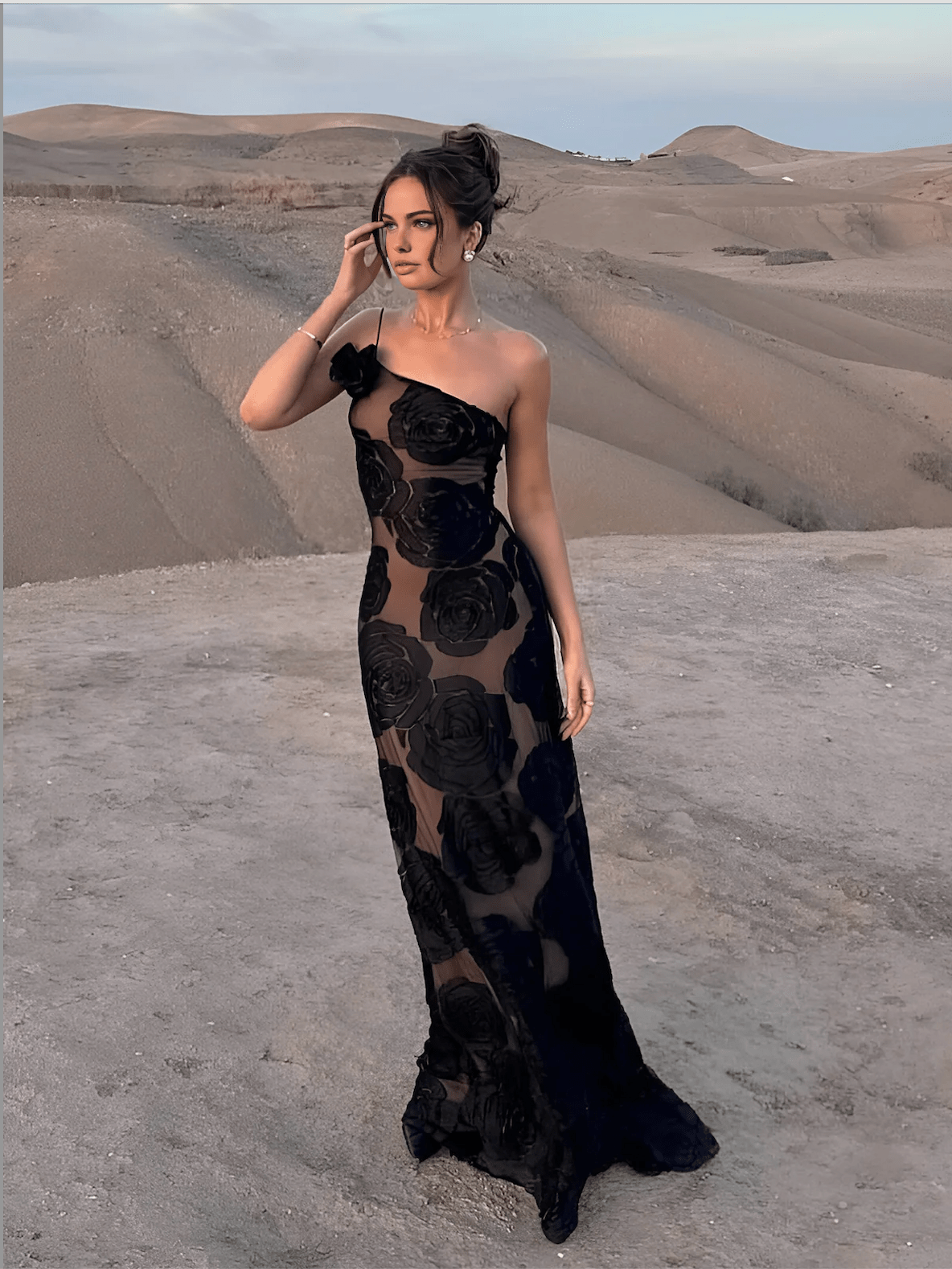Lavinque Dresses Robe Bustier Longue | Tulle Transparent & Velours | Glamour Floral