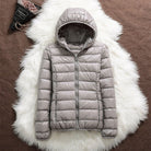 Lavinque Jacket Gris / M Doudoune Légère | Chaude & Confortable | Idéale pour l'Hiver