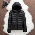 Lavinque Jacket Noir / M Doudoune Légère | Chaude & Confortable | Idéale pour l'Hiver