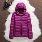 Lavinque Jacket Pourpre / M Doudoune Légère | Chaude & Confortable | Idéale pour l'Hiver