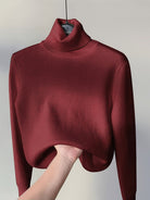 Lavinque Sweater Pull Col Roulé | Doublure Chaude | Élégance et Confort Hivernal