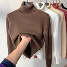 Lavinque Sweater Pull Col Roulé Hiver | Doublure Chaude | Élégant et Confortable